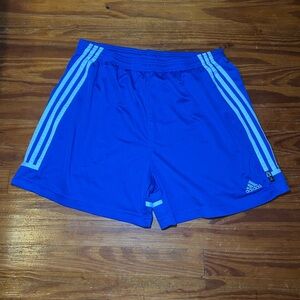 Adidas Men's Royal Blue Training Shorts